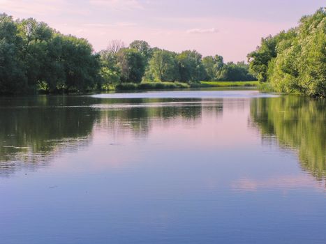 the quiet smooth surface of a small bay overgrown with trees along the shore