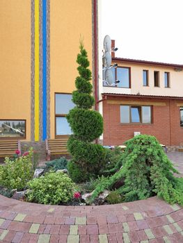 Futuristic flowerbed with a spiral bush near the building with a patriotic print