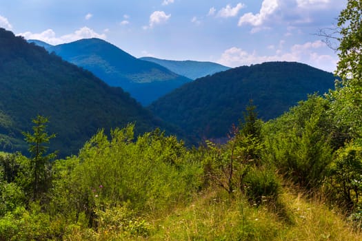 view from the clearing to the mountains of beautiful blue color