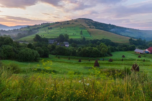 Slope of a high green mountain with small pretty houses and big shrubs on it