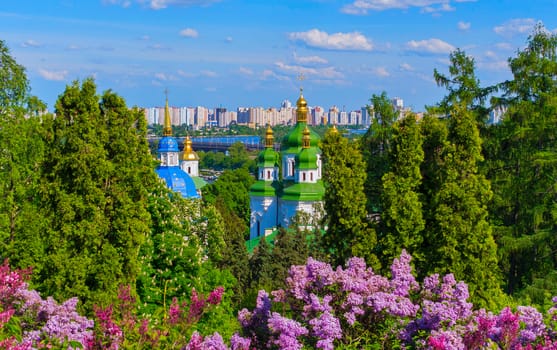 Blossoming lilacs in the rays of the sun against the background of the tops of churches of blue and green
