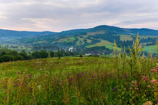 green picturesque ravines and lawns in the background of wildflowers and lurking houses between them