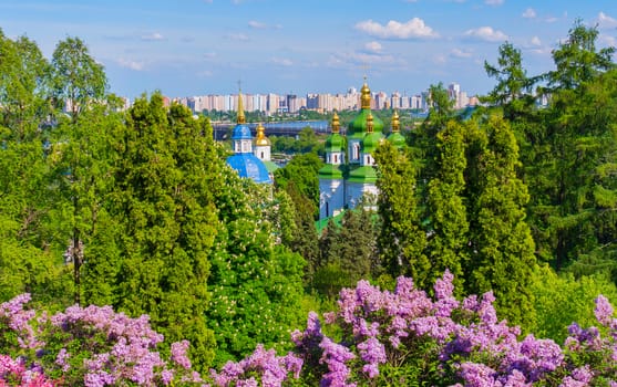 A chic landscape above the bushes of blossoming lilacs on the glistening dome of the church and the high houses of the city quarters standing on the river bank.