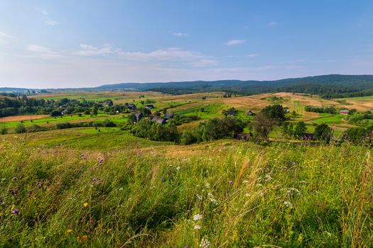 Meadow with flowering herbs and the view from it to a small town