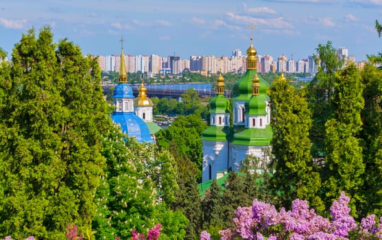 The green and blue tops of the temple are visible from the tops of the trees