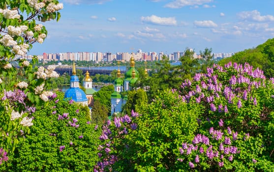 Flowering spring lilacs in the rays of the bright sun against the background of the golden domes of churches and the bridge that connects the two banks