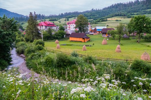 Cute little houses with tiled roofs located on a green meadow along a small creek