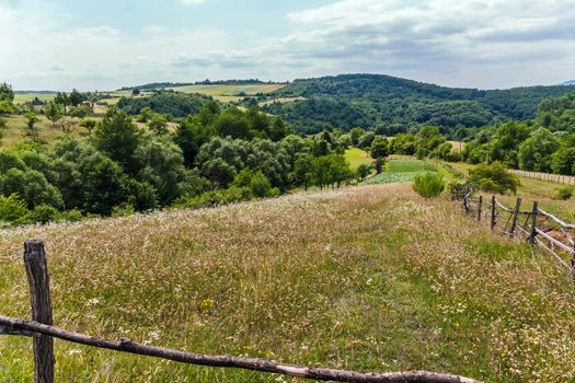 a wooden hedge of agriculture on a mountain slope dotted with wildflowers