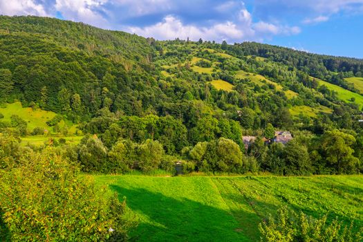 Rare roofs of rural houses peeping out among green trees growing at the bottom of the slope and along its entire length.