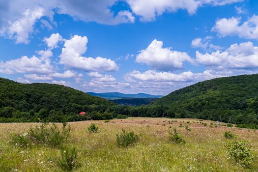 Green hills stretched under the summer blue sky. The meadows began to flow