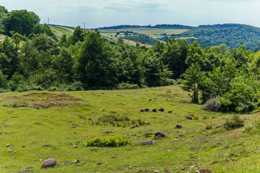 a small ravine overgrown with trees and fields that stretch on a hill behind it in rectangular forms