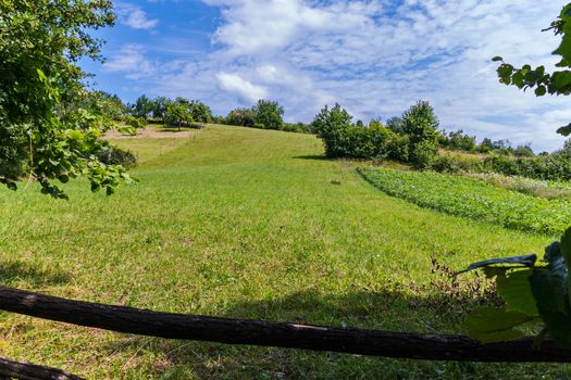 Fence of branches enclosing a garden with trees and plantations of plants