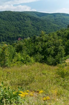 Under the blue sky among the green bushes and wooded hills are viewed at home. place of rest and tourism