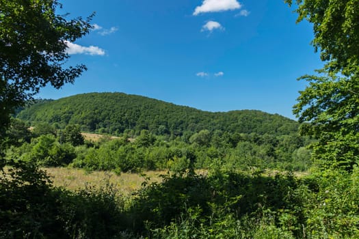 A beautiful view between the green leaves to the sky in the distance and the mountain slopes