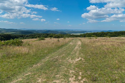 Meadow with dried yellowish grass and blue sky with almost no clouds. Than not a place to walk with friends