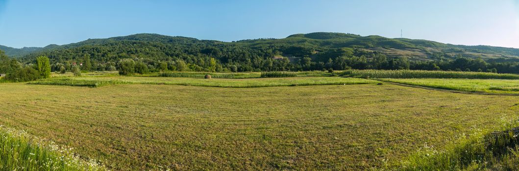 Endless green beveled field in the background of green mountains