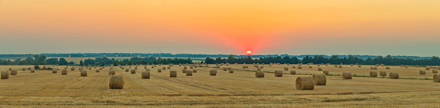 wheat field with bale of straw after harvest under the western sun