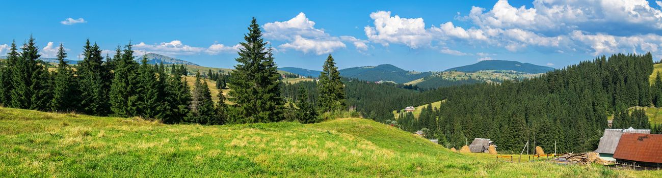 village houses on the slopes of mountains among meadows and spruce forests under a blue cloudy sky. place of rest, tourism, travel