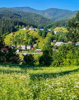Beautiful rural houses located in a picturesque area among green slopes and trees near the road.