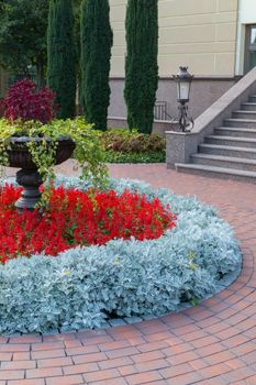 Flowerbed with beautiful red flowers and ornamental green plants