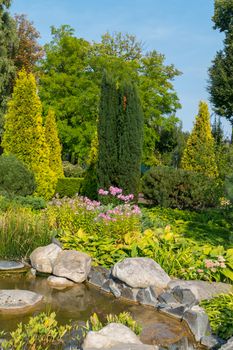 A small lake with decorative stone boulders, small flowers and coniferous trees