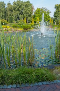 a high fountain spraying water along the lake with lilies near the alley in a beautiful park