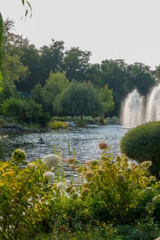 Flower bed and decorative bush on the background of a large lake with a fountain