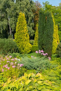 A flowerbed with tall shrubs, bright flowers and leaves of greenery. All possible shades of green gathered in one place