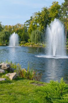 a white foam of water of tall fountains scattered along the lake's surface in a beautiful park