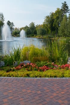 Beautiful flowers growing in a flower bed next to a path of tiles in a park on a background of fountains in a pond.