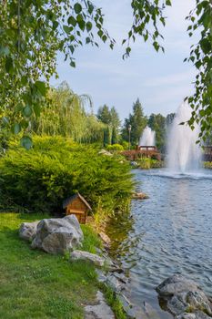 beautiful alpine lawn with big thuja and rocks on the shore of the lake