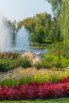 interesting decorative stone lying in a flower bed with flowers on a background of a fountain