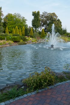fountain on an artificial lake covered with stone in a city park with planted thuja and juniper trees