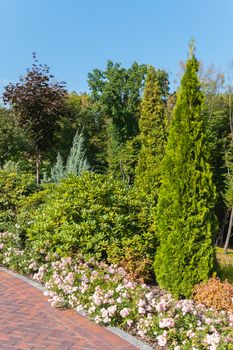 A blue cloudless sky above the green plants in the park. Seated along the path paved with figured tiles.