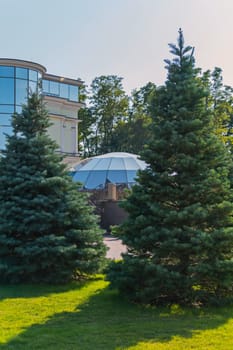 The glass dome of the room looks between two blue fir trees on a sunny day