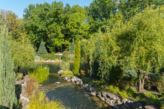 A shallow, shallow stream surrounded by stones. Around the green bushes and trees