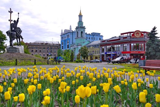 adorable yellow tulips in the city on the background of a monument and an ancient building with a dome on the roof