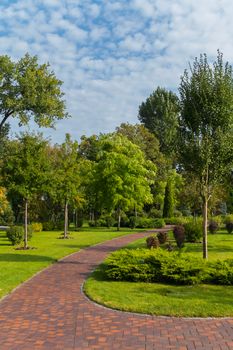 red track in a green park with beautiful trees on a summer day. Mezhyhir'ya. Ukraine
