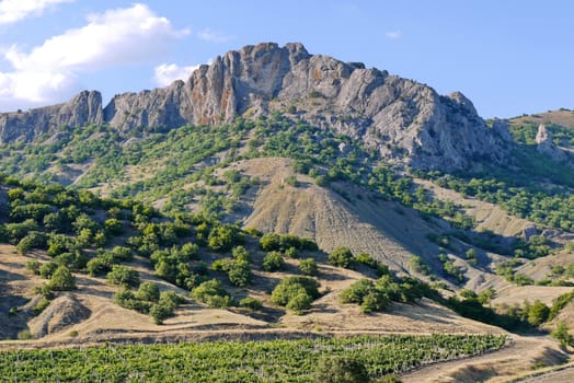 Rocks with a relief of outstanding stones with slopes covered with sparse vegetation standing against the blue sky.