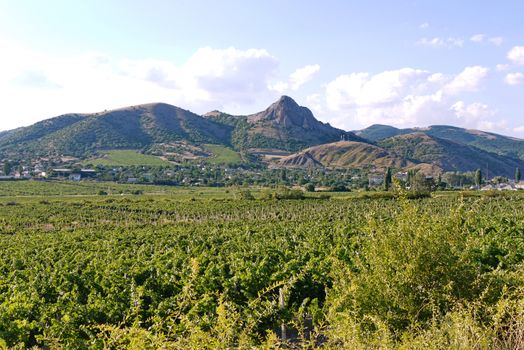 Large plantations of planted plants with a village far away in the distance among the trees lying at the foot of the mountain slopes.