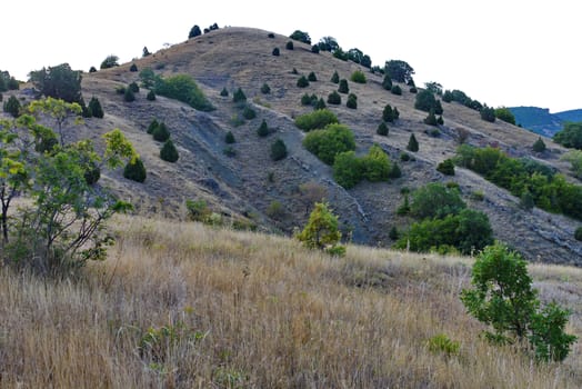 A ground slope with dry earth and green bushes, passing into the plain with yellow grass
