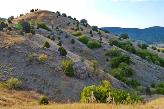 Slope of a low mountain with rare trees and lying stones and blue sky on the horizon.