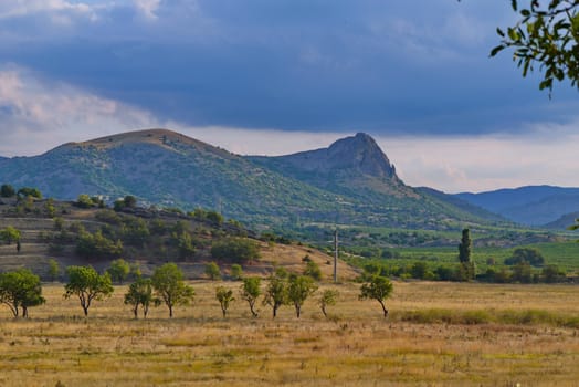 Glade with burnt grass against the backdrop of the mountains on a cloudy day