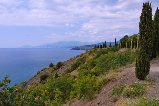High green cypress trees on the sides of the road against the backdrop of rocky mountain slopes