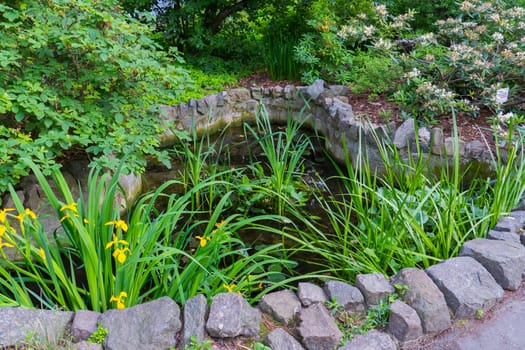 A tiny pond with greens and yellow flowers lined with stones