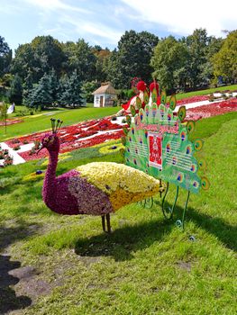 a magnificent peacock sculpture in a park made of flowers against the background of beautiful flower beds and green trees