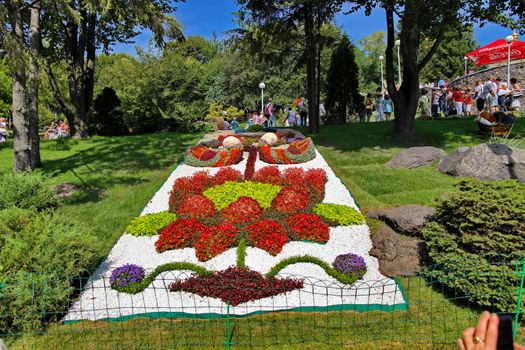 A bright, flower bed in which a flower composition is made of flowers. Confusion, but very cute