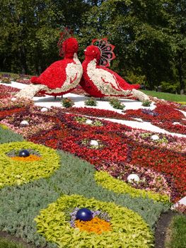 Two large birds made of flowers. In the park in the middle of the flower beds are facing each other.