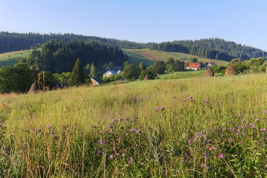 Beautiful field on the background of a small village on a cloudless day