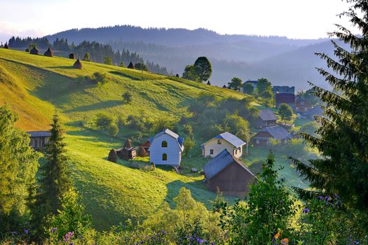 Beautiful rural house in a cozy valley of a mountain slope with green grass. With a growing number of trees and flowers.